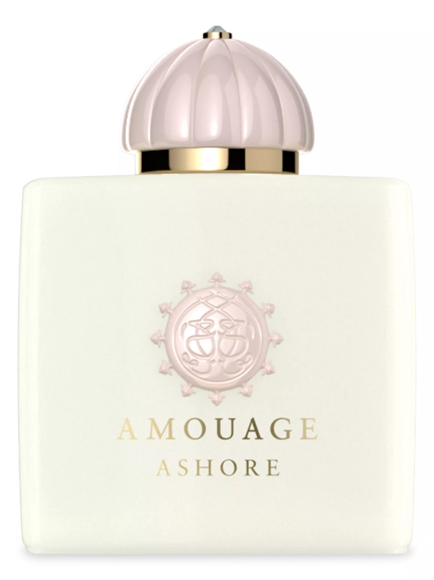 Amouage Ashore Unisex 3.4oz EDP Spray